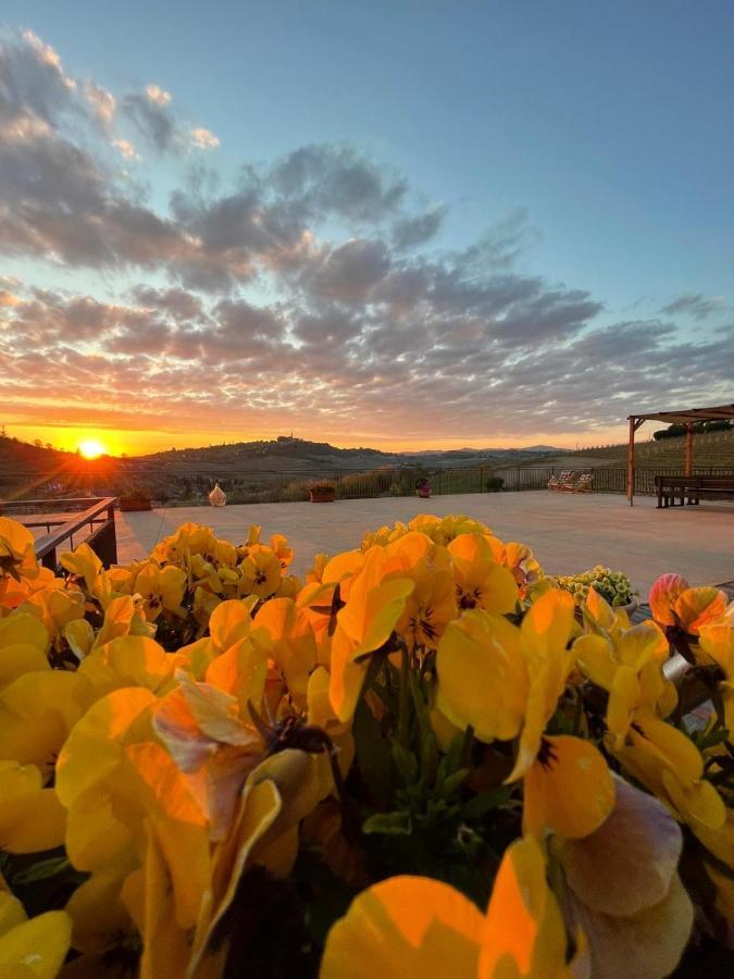 Agriturismo Ca Del Nono 산마르자노올리베토 외부 사진