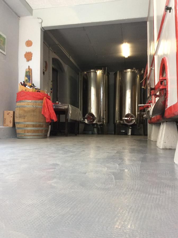 Agriturismo Ca Del Nono 산마르자노올리베토 외부 사진